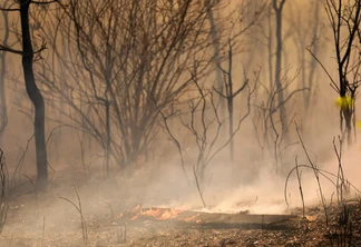 Foto de área de floresta queimada ainda com focos de incêndio. Foto de área de floresta queimada ainda com focos de incêndio.