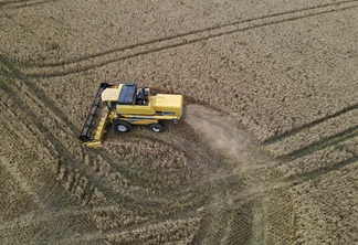 Tibagi, no Paraná, lidera a produção nacional de trigo | Foto: Gilson Abreu/AEN Tibagi, no Paraná, lidera a produção nacional de trigo | Foto: Gilson Abreu/AEN