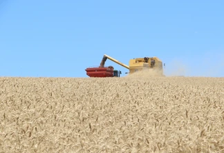 Foto de colheitadeira em lavoura de trigo despejando grãos em carreta graneleira. Foto de colheitadeira em lavoura de trigo despejando grãos em carreta graneleira.