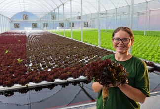 Foto de mulher segurando uma alface em frente a horta. Ela é branca, usa óculos e camiseta verde e está sorrindo. Foto de mulher segurando uma alface em frente a horta. Ela é branca, usa óculos e camiseta verde e está sorrindo.