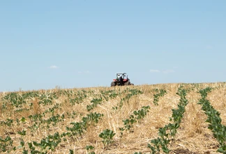 Foto de máquina agrícola em lavoura de soja com palhada. Foto de máquina agrícola em lavoura de soja com palhada.