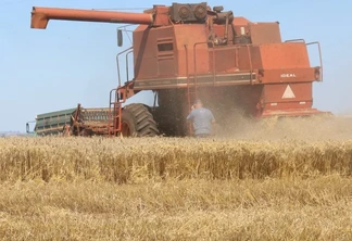 Foto de colheitadeira vermelha em lavoura de trigo. Um homem está de pé parado perto dela. Foto de colheitadeira vermelha em lavoura de trigo. Um homem está de pé parado perto dela.