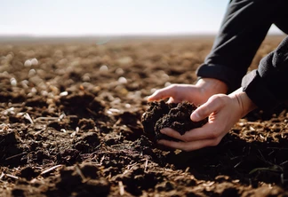 A caracterização é essencial para tomada de decisões sobre o manejo sustentável dos solos e dos sistemas de produção agropecuários | Foto: Banco de Imagens A caracterização é essencial para tomada de decisões sobre o manejo sustentável dos solos e dos sistemas de produção agropecuários | Foto: Banco de Imagens