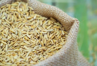 Arroz em casca dentro de um saco. Arroz em casca dentro de um saco.