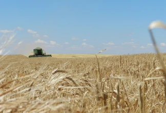 Foto de colheitadeira em lavoura de cevada. Foto de colheitadeira em lavoura de cevada.
