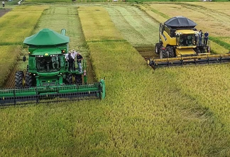 Duas colheitadeiras na lavoura colhendo arroz Duas colheitadeiras na lavoura colhendo arroz