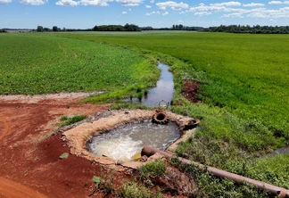 Falta de chuvas preocupa produtores de Arroz e Soja em São Borja Falta de chuvas preocupa produtores de Arroz e Soja em São Borja