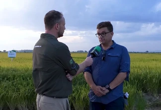 Sistema de Plantio Direto na Cultura do Arroz: Sustentabilidade e Redução de Custos em Foco Sistema de Plantio Direto na Cultura do Arroz: Sustentabilidade e Redução de Custos em Foco