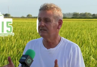 Projeto 15: A busca por 15 toneladas de arroz por hectare no Rio Grande do Sul Projeto 15: A busca por 15 toneladas de arroz por hectare no Rio Grande do Sul