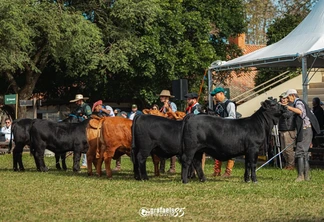 Evento ExpoBrangus 2025. Evento ExpoBrangus 2025.