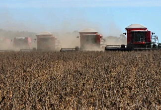 Colheita de soja. Colheita de soja.