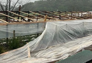 Foto de estufas destruídas em marau. Foto de estufas destruídas em marau.