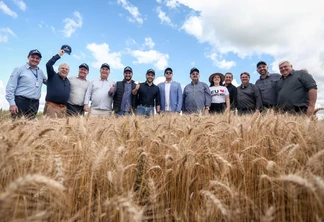 Safra de trigo no Rio Grande do Sul representa quase metade da produção nacional | Foto: Bruno Todeschini/Divulgação Safra de trigo no Rio Grande do Sul representa quase metade da produção nacional | Foto: Bruno Todeschini/Divulgação