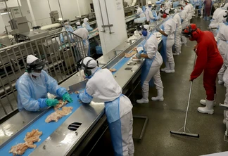 Em 2024, as exportações de carne de frango paranaense para a Malásia renderam, em média, US$ 564,55 mil mensais, uma receita de US$ 6,77 milhões no ano | Foto: Ari Dias/AEN/Divulgação Em 2024, as exportações de carne de frango paranaense para a Malásia renderam, em média, US$ 564,55 mil mensais, uma receita de US$ 6,77 milhões no ano | Foto: Ari Dias/AEN/Divulgação