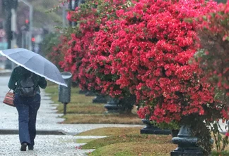 | Foto: José Fernando Ogura/Divulgação | Foto: José Fernando Ogura/Divulgação