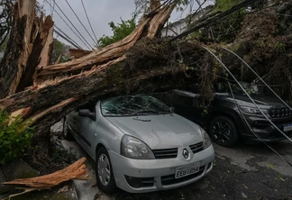 Vento associado ao ciclone pode trazer ocorrências de quedas de árvores nesta segunda-feira em São Paulo com cortes de luz em algumas áreas | Foto: Nelson Almeida/AFP/Metsul Vento associado ao ciclone pode trazer ocorrências de quedas de árvores nesta segunda-feira em São Paulo com cortes de luz em algumas áreas | Foto: Nelson Almeida/AFP/Metsul