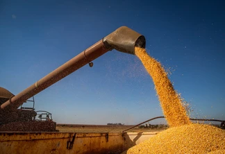 O estudo aponta que a safra 2025/2026 deve alcançar 353,8 milhões de toneladas de grãos, um aumento de 1% em relação à temporada anterior | Foto: CNA Brasil/Divulgação O estudo aponta que a safra 2025/2026 deve alcançar 353,8 milhões de toneladas de grãos, um aumento de 1% em relação à temporada anterior | Foto: CNA Brasil/Divulgação