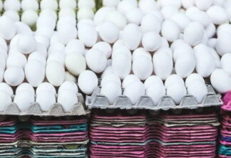 Preço médio da caixa de ovos brancos evolui 7,1% no decorrer de dezembro