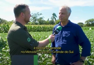 Rotação de soja e arroz auxiliam produtores da Metade Sul do RS