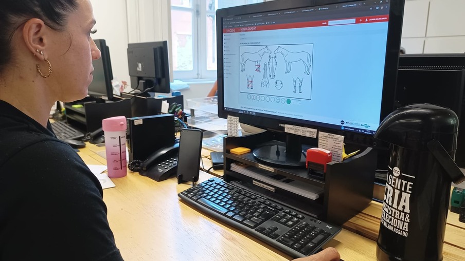 Pessoa acessando site sobre equino Pessoa acessando site sobre equino