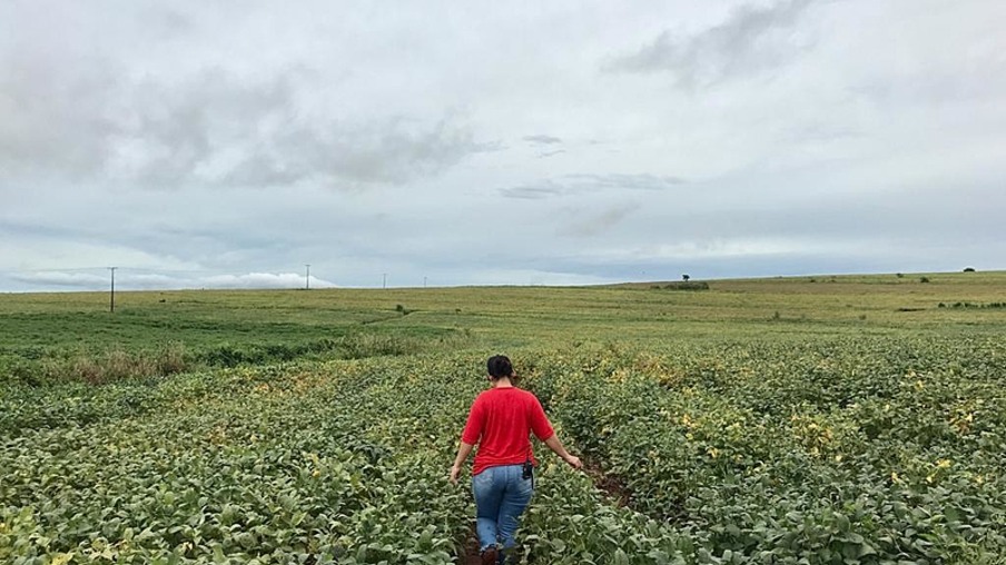 Mulher caminhando na lavoura de soja Mulher caminhando na lavoura de soja