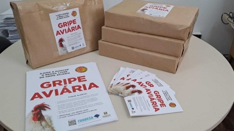 folhetos gripe aviária folhetos gripe aviária