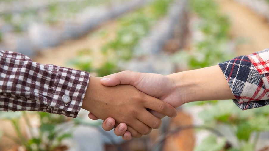 Foto de aperto de mãos em frente a hortas. Foto de aperto de mãos em frente a hortas.