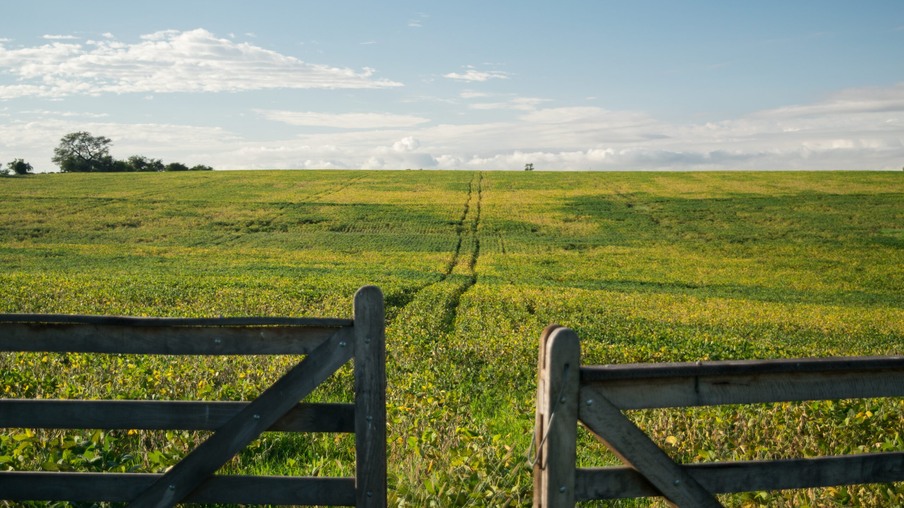 A foto mostra uma porteira de madeira envelhecida aberta, e um campo verde ao fundo e poucas nuvens no céu azul A foto mostra uma porteira de madeira envelhecida aberta, e um campo verde ao fundo e poucas nuvens no céu azul