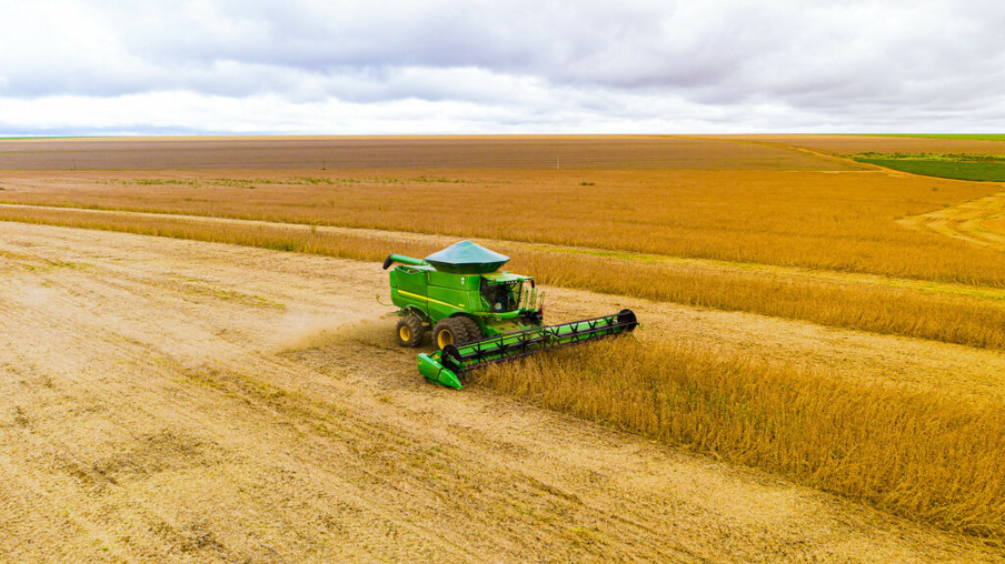 Safra de soja apresenta rendimento menor no MT segundo Imea Safra de soja apresenta rendimento menor no MT segundo Imea