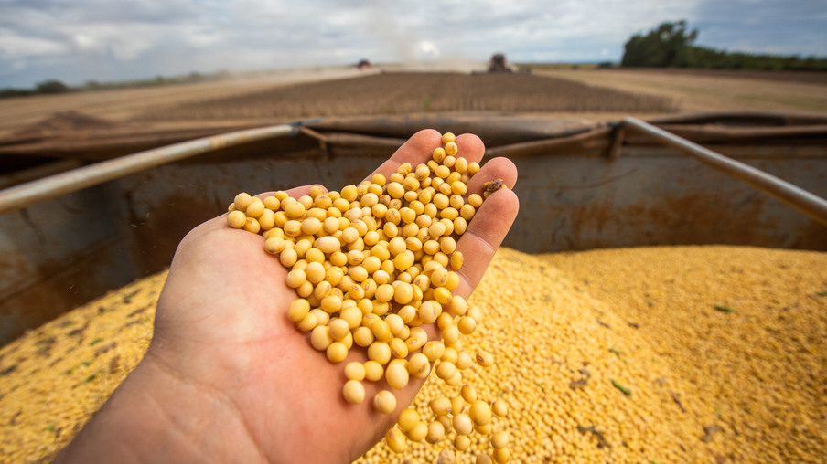 Imagem de divulgação Imagem de divulgação