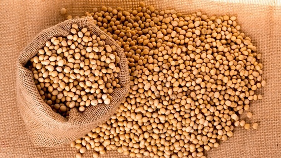 Imagem de divulgação Imagem de divulgação