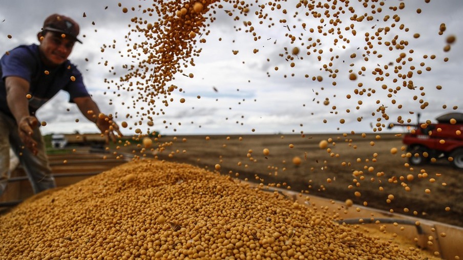 colheita da soja colheita da soja