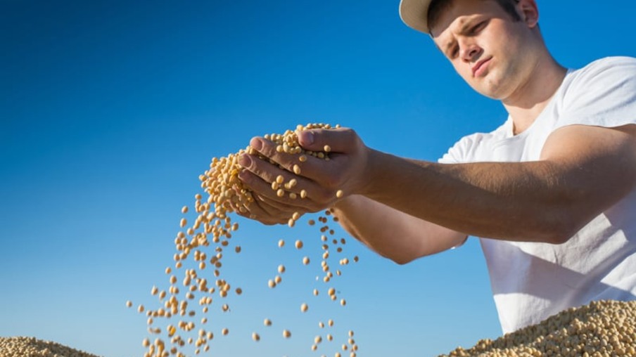 Homem segurando grãos