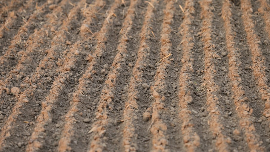 Terra arada Terra arada