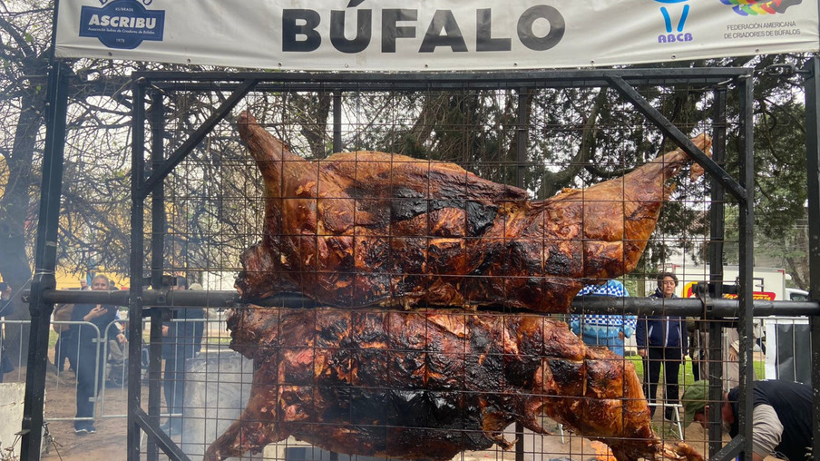 Búfalo assado Búfalo assado