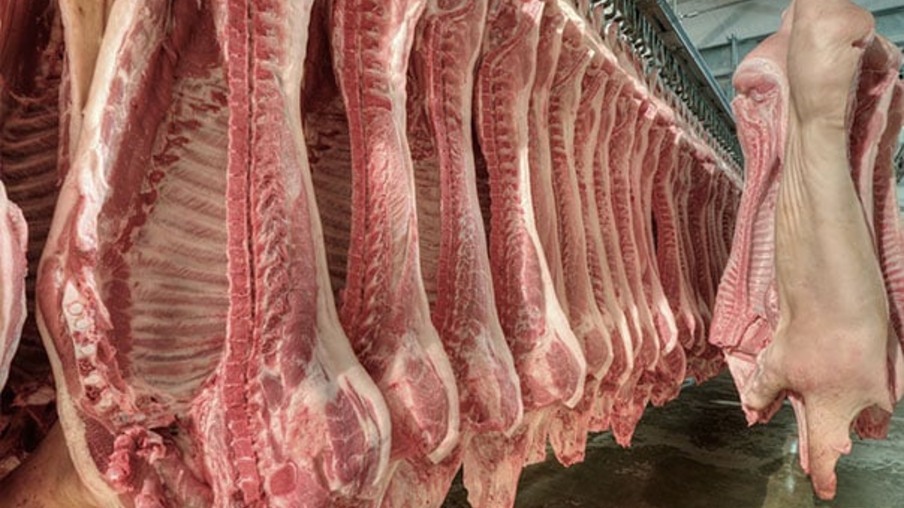 A foto mostra carcaças de suínos, carne suína