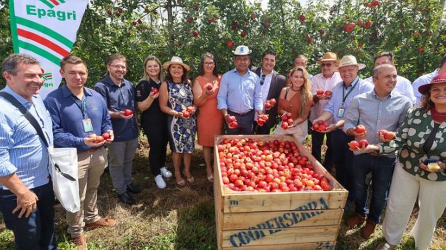 Foto: Ricardo Trida/Secom/ Divulgação Foto: Ricardo Trida/Secom/ Divulgação