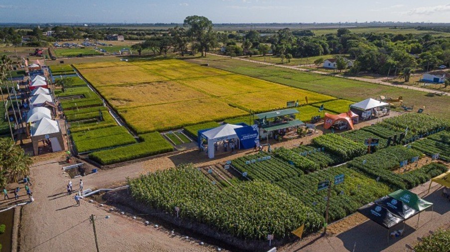 Estrutura da Embrapa Estrutura da Embrapa