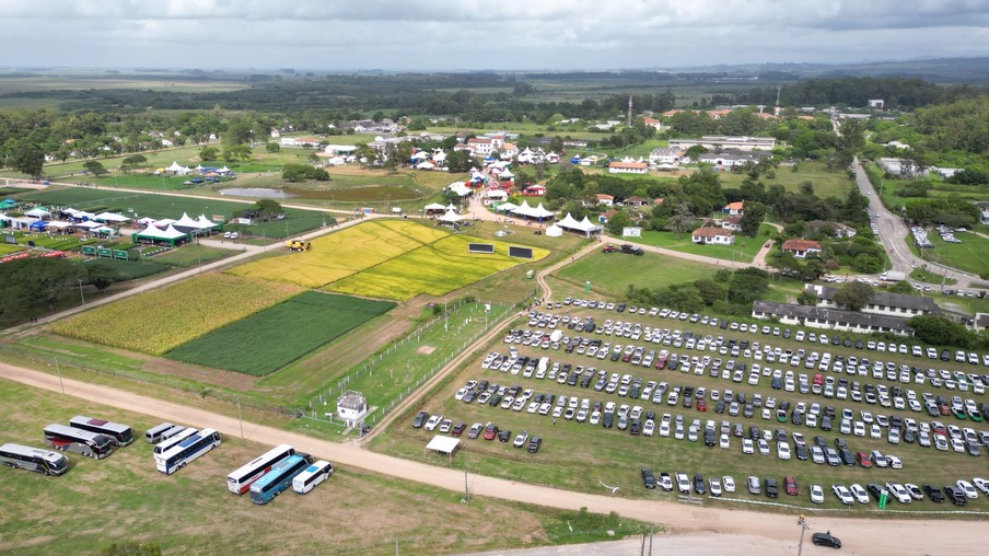 Colheita do Arroz e Grãos em Pelotas Colheita do Arroz e Grãos em Pelotas