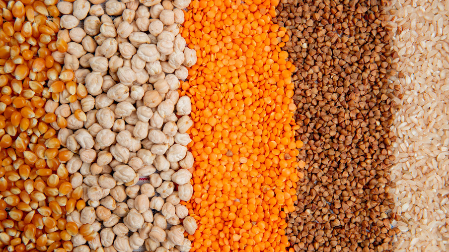 Diferentes sereais, milho, arroz, trigo, grãos de bico Diferentes sereais, milho, arroz, trigo, grãos de bico