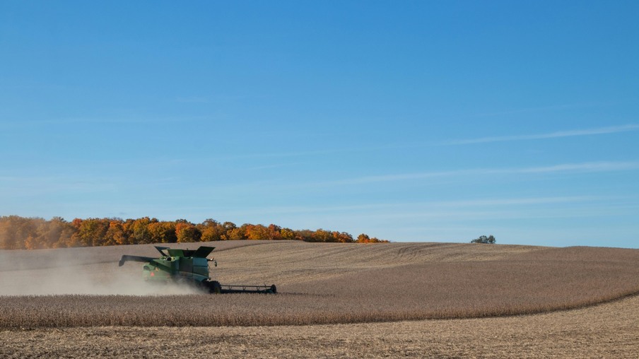Lavoura de soja Lavoura de soja