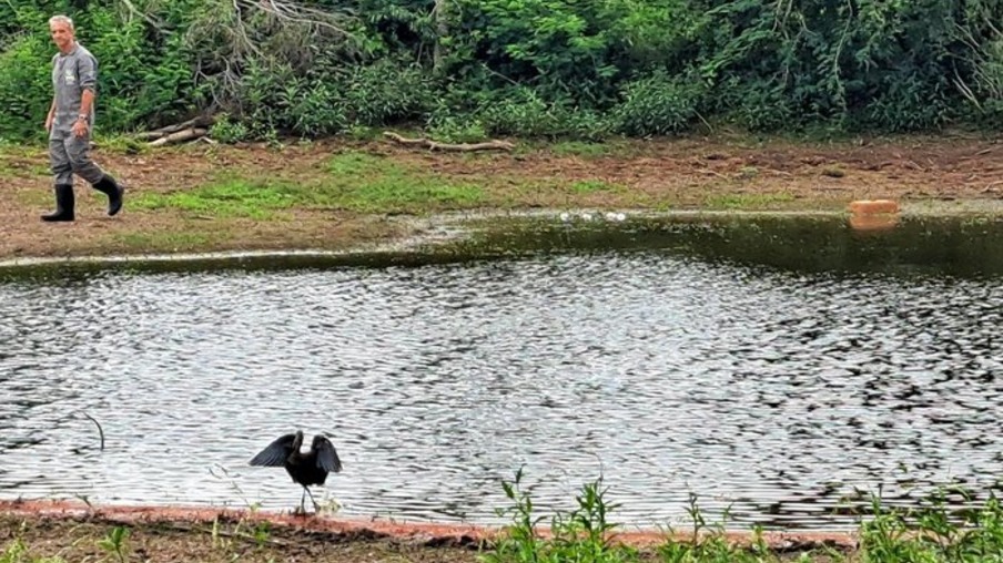 Foto: Fernando Dias / Seapi/Divulgação Foto: Fernando Dias / Seapi/Divulgação