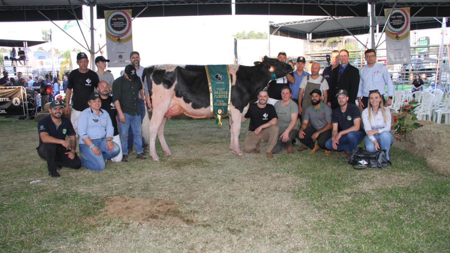 Os gaúchos premiados em evento nacional da raça holandesa, Adair Baggio, de Guaporé, Arlindo Heinsch e Filhos, de Independência, Dieter Roese, de Salvador do Sul, Beatriz, Jean e Eloi Gallina, de Carlos Barbosa, Nelson Kussler, de Ibirubá, e Orlando, Marcos e Itamar Tang, de Farroupilha. Os gaúchos premiados em evento nacional da raça holandesa, Adair Baggio, de Guaporé, Arlindo Heinsch e Filhos, de Independência, Dieter Roese, de Salvador do Sul, Beatriz, Jean e Eloi Gallina, de Carlos Barbosa, Nelson Kussler, de Ibirubá, e Orlando, Marcos e Itamar Tang, de Farroupilha.