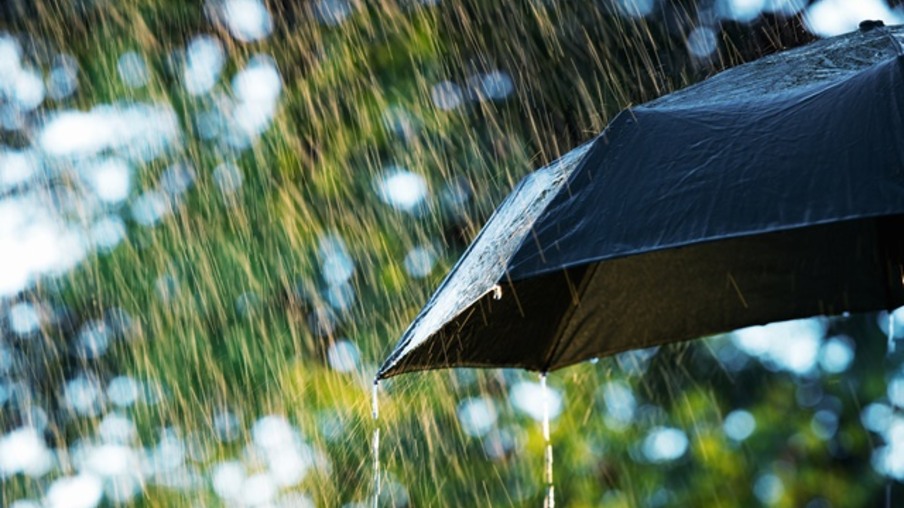 GUARDA CHUVA GUARDA CHUVA