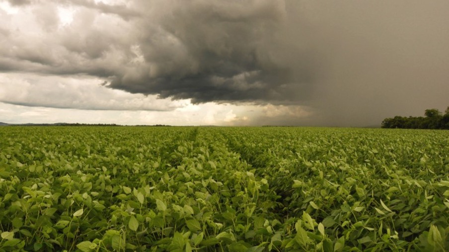 campo de soja e céu com nuvens de chuva