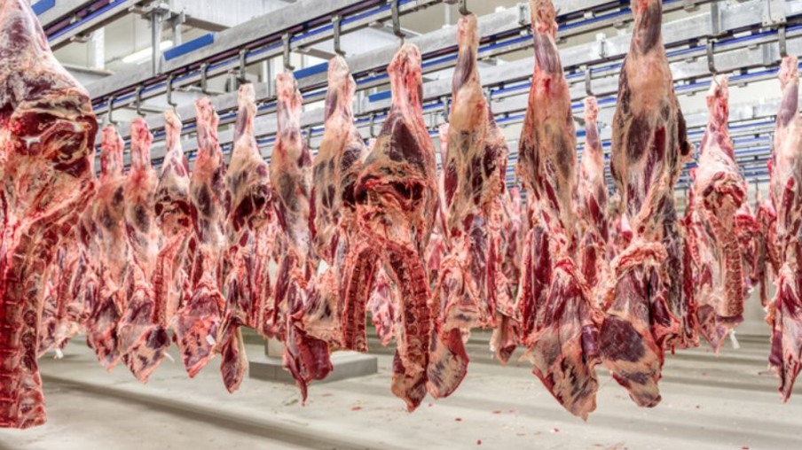 Foto: Divulgação Foto: Divulgação