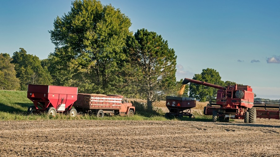 A foto mostra máquinas colhendo A foto mostra máquinas colhendo
