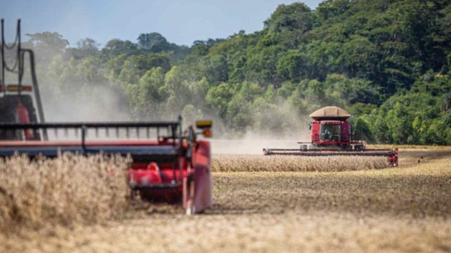 Foto: Wenderson Araujo_Trilux_CNA/Divulgação Foto: Wenderson Araujo_Trilux_CNA/Divulgação