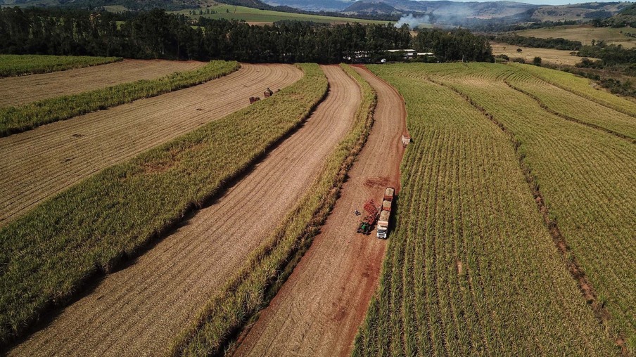 Tecnologia e produtividade fazem a cana-de-açúcar voltar a brilhar no Norte Pioneiro | Foto: José Fernando Ogura/AEN Tecnologia e produtividade fazem a cana-de-açúcar voltar a brilhar no Norte Pioneiro | Foto: José Fernando Ogura/AEN