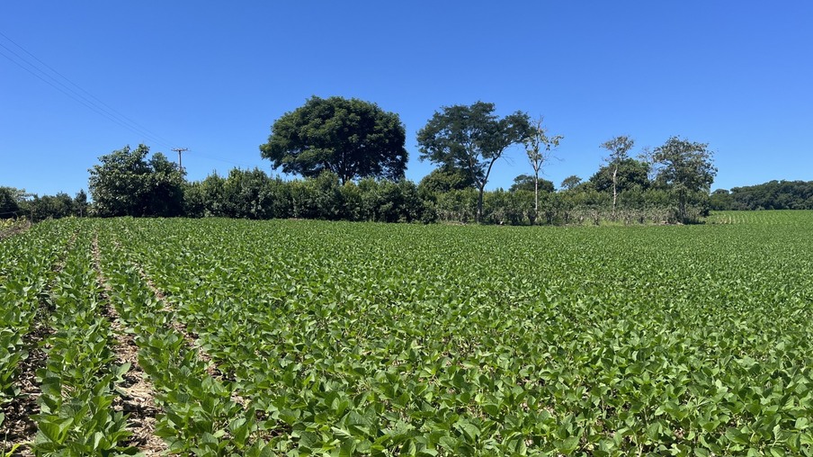 Foto: Fundação Solidaridad Foto: Fundação Solidaridad